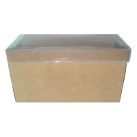 Caixa para Presentes 17x8,5x8 KRAFT Tampa PVC Com 10